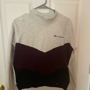 Champion Pull Over